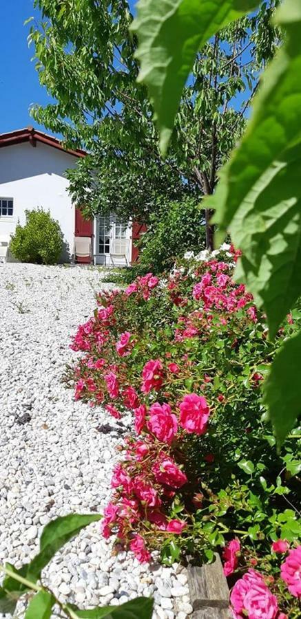 Hotel & Spa Harretchea, Cote Basque Ahetze Exterior photo